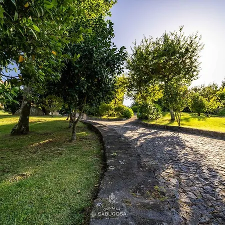 Quinta Sabugosa - Quinta V4 Localizada Na Encosta Do Bom Jesus - * براغا