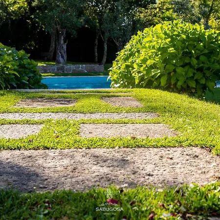 Villa Quinta Sabugosa - Quinta V4 Localizada Na Encosta Do Bom Jesus - *