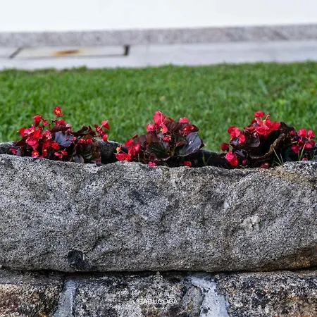 Quinta Sabugosa - Quinta V4 Localizada Na Encosta Do Bom Jesus - Villa Braga