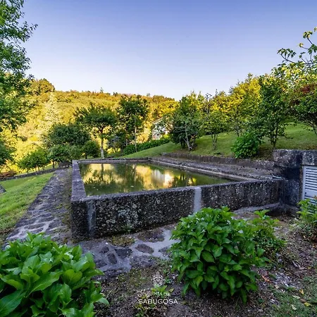 Villa Quinta Sabugosa - Quinta V4 Localizada Na Encosta Do Bom Jesus - *