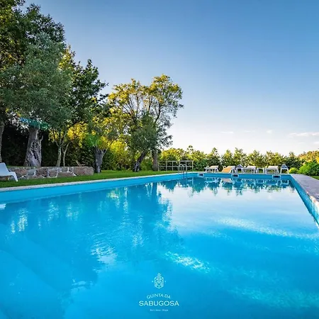 Villa Quinta Sabugosa - Quinta V4 Localizada Na Encosta Do Bom Jesus - *