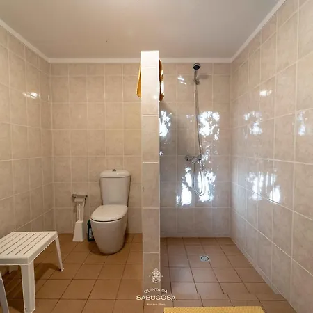 Quinta Sabugosa - Quinta V4 Localizada Na Encosta Do Bom Jesus - Villa *