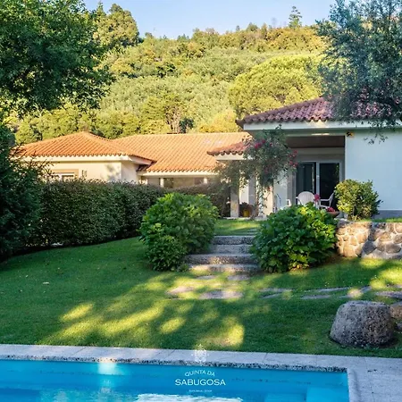 Quinta Sabugosa - Quinta V4 Localizada Na Encosta Do Bom Jesus - Villa