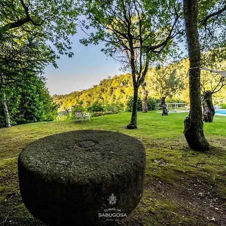 Quinta Sabugosa - Quinta V4 Localizada Na Encosta Do Bom Jesus - Braga