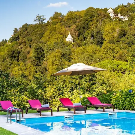 Quinta Sabugosa - Quinta V4 Localizada Na Encosta Do Bom Jesus - *