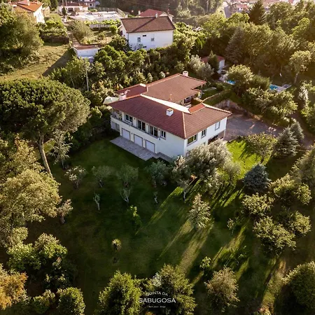 Quinta Sabugosa - Quinta V4 Localizada Na Encosta Do Bom Jesus - Villa