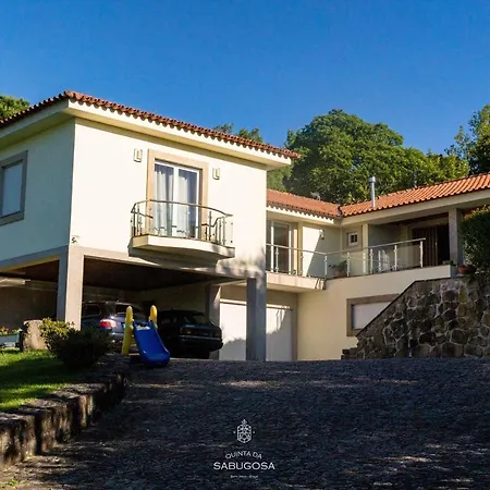 Quinta Sabugosa - Quinta V4 Localizada Na Encosta Do Bom Jesus - Villa