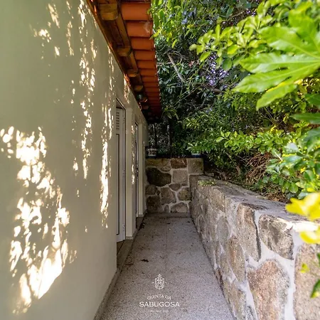 Quinta Sabugosa - Quinta V4 Localizada Na Encosta Do Bom Jesus - براغا