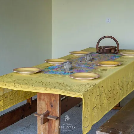 Villa Quinta Sabugosa - Quinta V4 Localizada Na Encosta Do Bom Jesus -