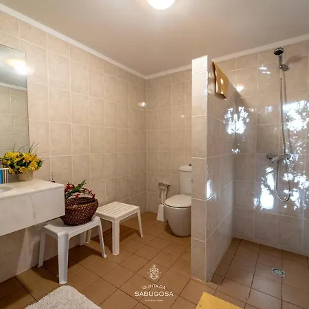 Quinta Sabugosa - Quinta V4 Localizada Na Encosta Do Bom Jesus - *